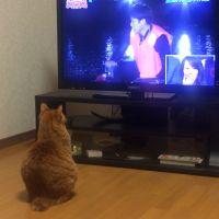 もーこ太郎 会員画像