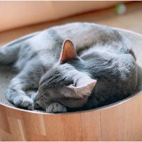 あさみん20 会員画像