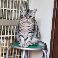 会員画像
