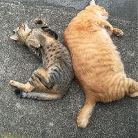会員画像
