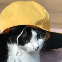 まるいも 会員画像