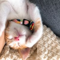 なぎさ。 会員画像