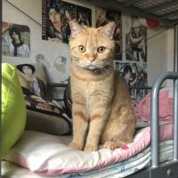 まつちえ 会員画像