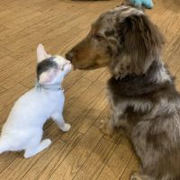 まるあこ 会員画像