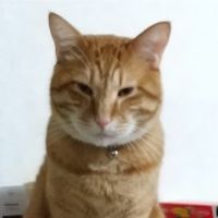 会員画像