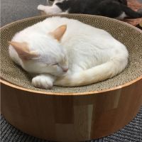 マナrnd 会員画像
