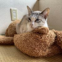 会員画像