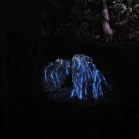 タツノリ 会員画像