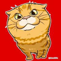 ゆずまるZ 会員画像
