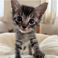 いのちの居場所さん