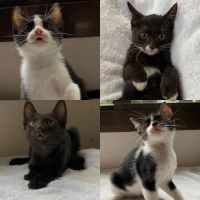 びびゆん 会員画像