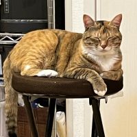 おこめとむぎ 会員画像