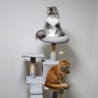 富士ヒロ 会員画像