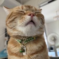 会員画像