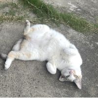 きょたむさん