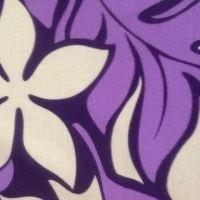 たま菜 会員画像