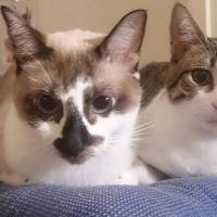 Takashi0024 会員画像