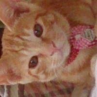 ゆっち86さん