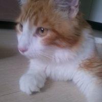 めりーさん。 会員画像