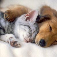 けー。 会員画像