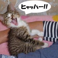 くんくん 会員画像