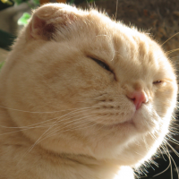 次郎の飼い主 会員画像