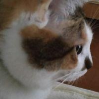 あいとろーら 会員画像