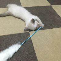 会員画像