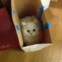 べるやん 会員画像
