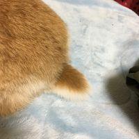 ゆんゆん101 会員画像