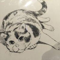 なつんこ 会員画像