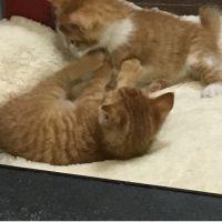 会員画像