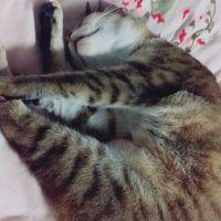 るーちゃん、 会員画像