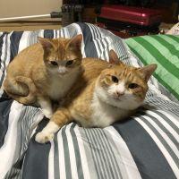 きなこ0122 会員画像