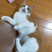 みしょうかん 会員画像