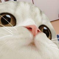 会員画像