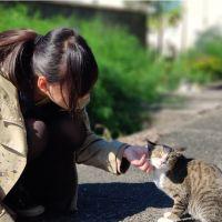 のざかな 会員画像