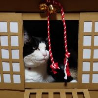 黒タン’s管理人さん