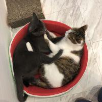 会員画像