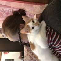 Koyuki39 会員画像