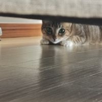かじ0221さん
