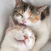 ミヤモト9307さん