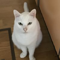 たますけさん 会員画像
