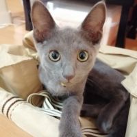 ブッちゃーんさん