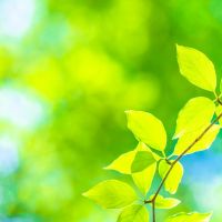 ハルヒコ 会員画像