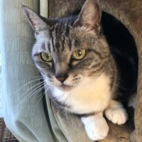 0yatiyo845 会員画像