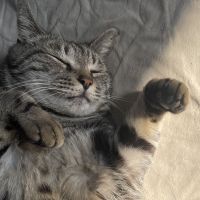 はらみちゃん 会員画像