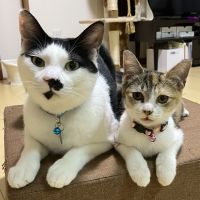 らいすっぴー 会員画像