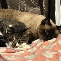 いっけんめ 会員画像