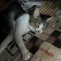 スギヤマ 会員画像